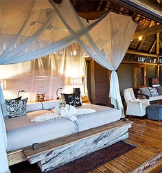 Jao camp African Safari